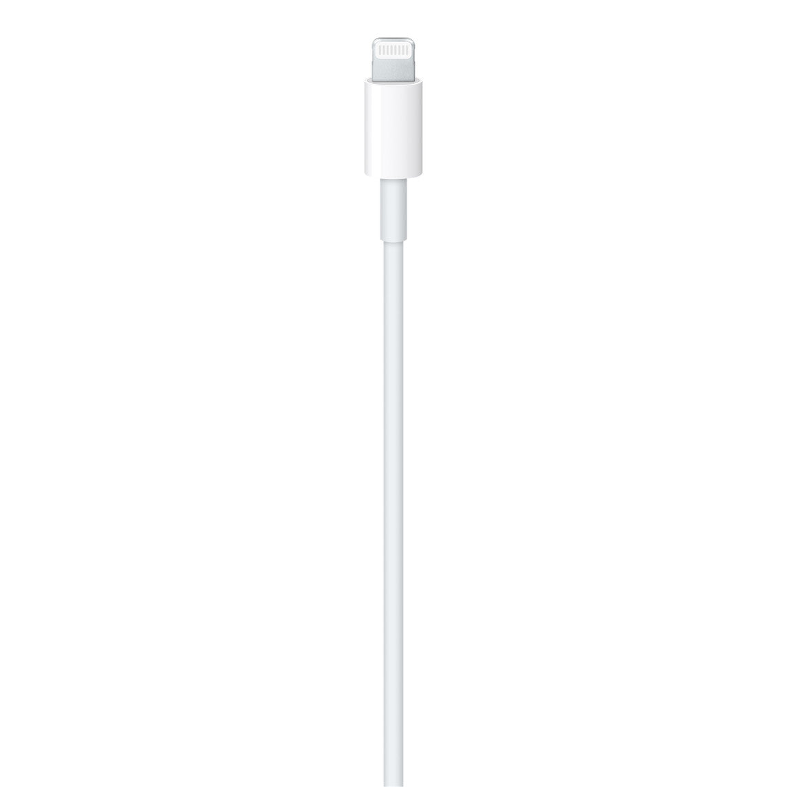 20W USB-C Power Adapter or USB-C to Lightning Cable (2 m)